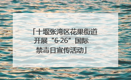 十堰张湾区花果街道开展“6·26”国际禁毒日宣传活动