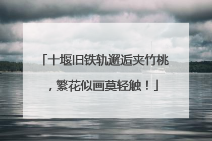 十堰旧铁轨邂逅夹竹桃，繁花似画莫轻触！