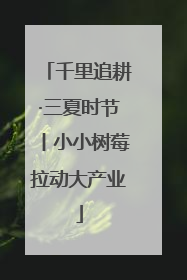 千里追耕·三夏时节丨小小树莓拉动大产业