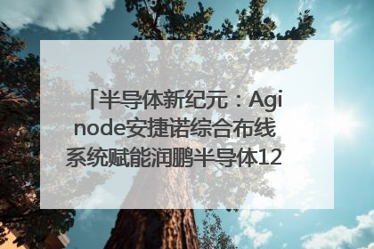 半导体新纪元：Aginode安捷诺综合布线系统赋能润鹏半导体12英寸集成电路生产线，携手共筑“芯”未来！