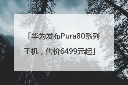 华为发布Pura80系列手机，售价6499元起