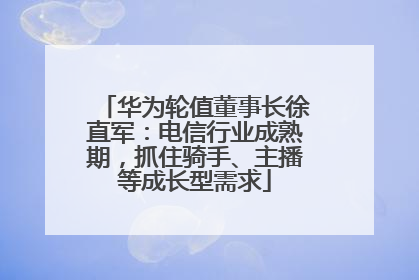 华为轮值董事长徐直军：电信行业成熟期，抓住骑手、主播等成长型需求