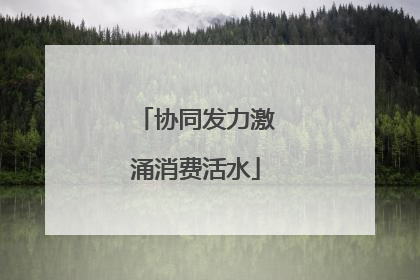 协同发力激涌消费活水