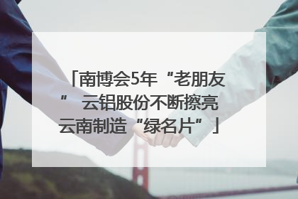 南博会5年“老朋友” 云铝股份不断擦亮云南制造“绿名片”