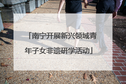 南宁开展新兴领域青年子女非遗研学活动