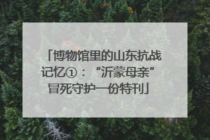 博物馆里的山东抗战记忆①：“沂蒙母亲”冒死守护一份特刊