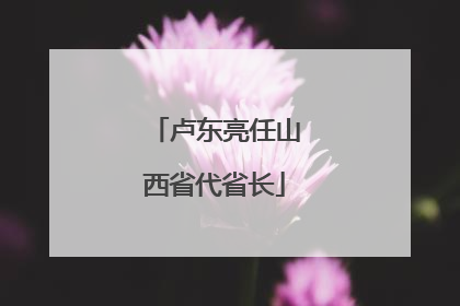 卢东亮任山西省代省长