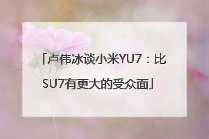 卢伟冰谈小米YU7：比SU7有更大的受众面