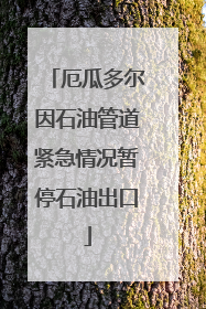 厄瓜多尔因石油管道紧急情况暂停石油出口