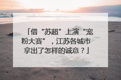 借“苏超”上演“宠粉大赛”，江苏各城市拿出了怎样的诚意？