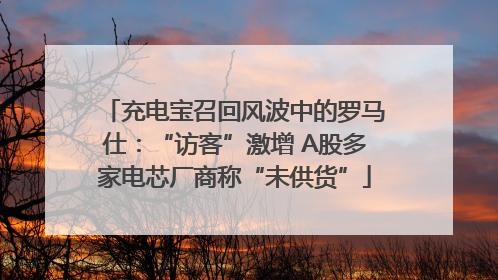 充电宝召回风波中的罗马仕：“访客”激增 A股多家电芯厂商称“未供货”