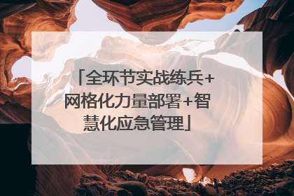 全环节实战练兵+网格化力量部署+智慧化应急管理