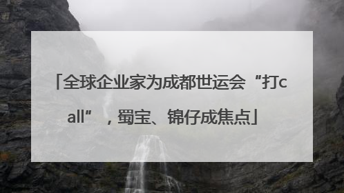 全球企业家为成都世运会“打call”，蜀宝、锦仔成焦点