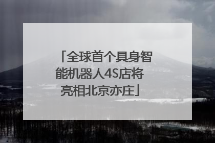 全球首个具身智能机器人4S店将亮相北京亦庄