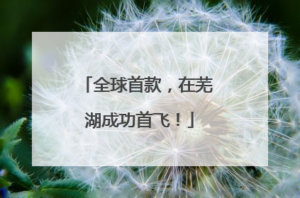全球首款，在芜湖成功首飞！