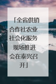 全省供销合作社农业社会化服务 现场推进会在泰兴召开