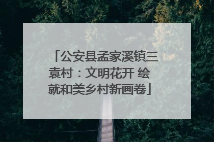 公安县孟家溪镇三袁村：文明花开 绘就和美乡村新画卷