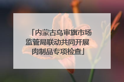 内蒙古乌审旗市场监管局联动共同开展肉制品专项检查
