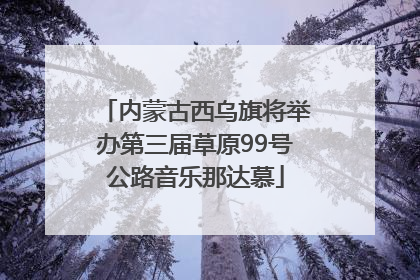 内蒙古西乌旗将举办第三届草原99号公路音乐那达慕