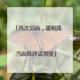 再次见面，董明珠当面批评孟羽童