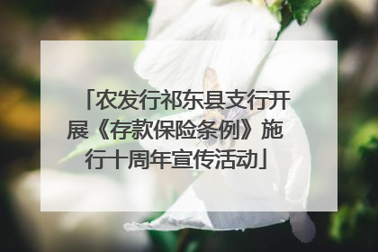 农发行祁东县支行开展《存款保险条例》施行十周年宣传活动