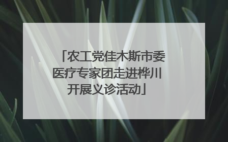 农工党佳木斯市委医疗专家团走进桦川开展义诊活动