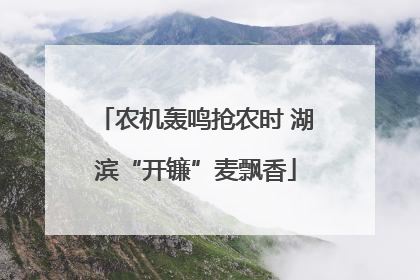 农机轰鸣抢农时 湖滨“开镰”麦飘香