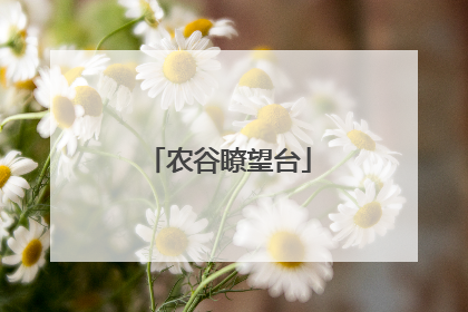农谷瞭望台
