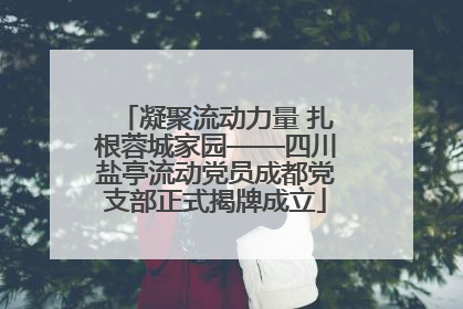 凝聚流动力量 扎根蓉城家园——四川盐亭流动党员成都党支部正式揭牌成立