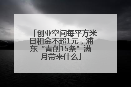 创业空间每平方米日租金不超1元，浦东“青创15条”满月带来什么
