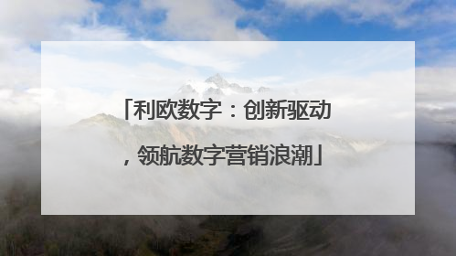 利欧数字：创新驱动，领航数字营销浪潮