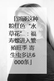 别碰这种粉红色“水草花”：福寿螺进入繁殖旺季 寄生虫多达6000条