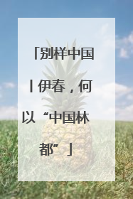 别样中国丨伊春，何以“中国林都”