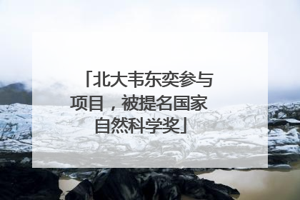 北大韦东奕参与项目，被提名国家自然科学奖
