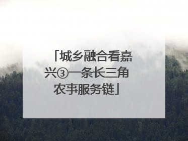 城乡融合看嘉兴③一条长三角农事服务链