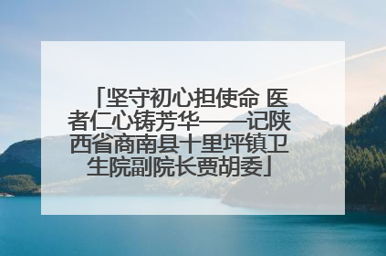 坚守初心担使命 医者仁心铸芳华——记陕西省商南县十里坪镇卫生院副院长贾胡委