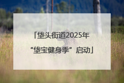 垡头街道2025年“垡宝健身季”启动