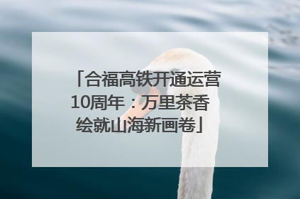 合福高铁开通运营10周年：万里茶香绘就山海新画卷
