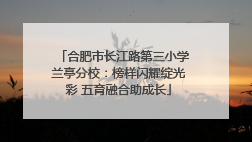 合肥市长江路第三小学兰亭分校：榜样闪耀绽光彩 五育融合助成长