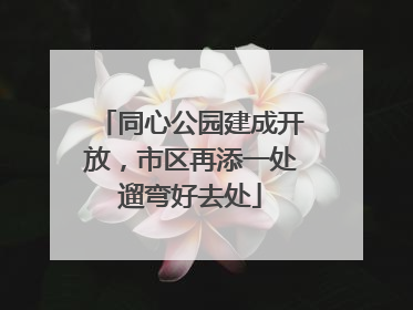 同心公园建成开放，市区再添一处遛弯好去处