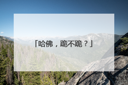 哈佛，跪不跪？