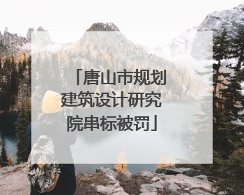 唐山市规划建筑设计研究院串标被罚