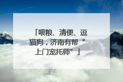 喂粮、清便、逗猫狗，济南有帮“上门宠托师”