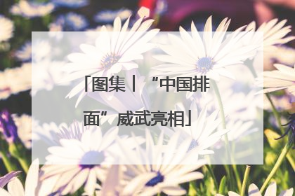 图集︱“中国排面”威武亮相