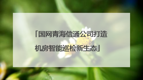 国网青海信通公司打造机房智能巡检新生态