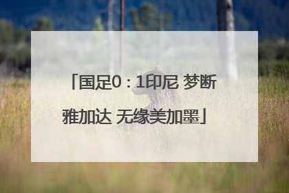 国足0∶1印尼 梦断雅加达 无缘美加墨