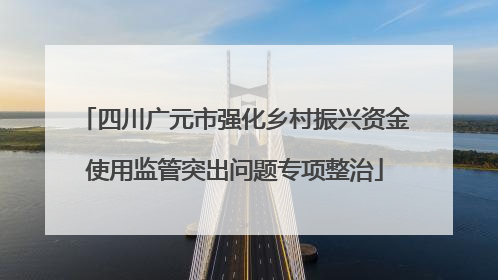 四川广元市强化乡村振兴资金使用监管突出问题专项整治