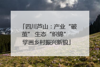 四川芦山：产业“破茧” 生态“织锦” 擘画乡村振兴新貌