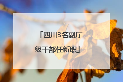 四川3名副厅级干部任新职