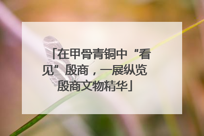 在甲骨青铜中“看见”殷商，一展纵览殷商文物精华